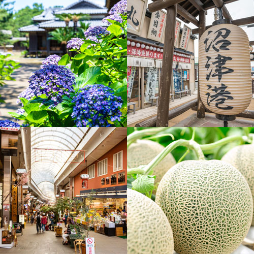 ツアーイメージ