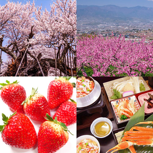 ツアーイメージ