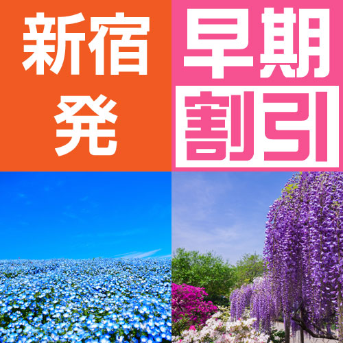 ツアーイメージ