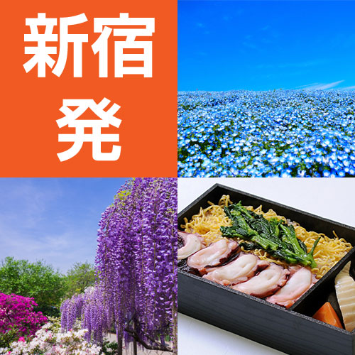 ツアーイメージ