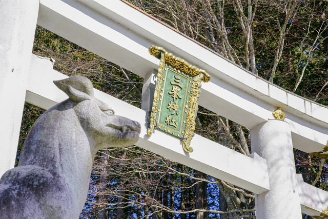 高遠徐城址のさくら