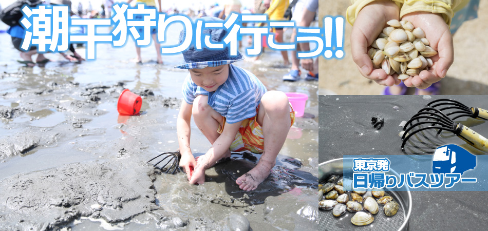 潮干狩りに行こう！！新宿発日帰りバスツアー