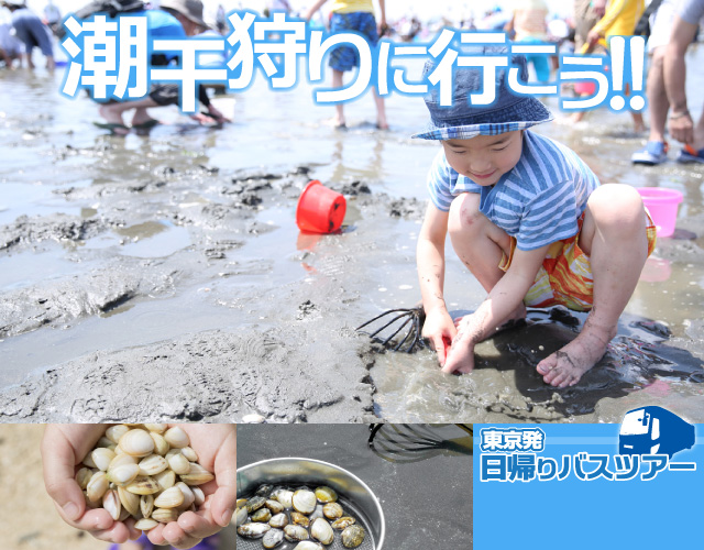 潮干狩りに行こう！！新宿発日帰りバスツアー