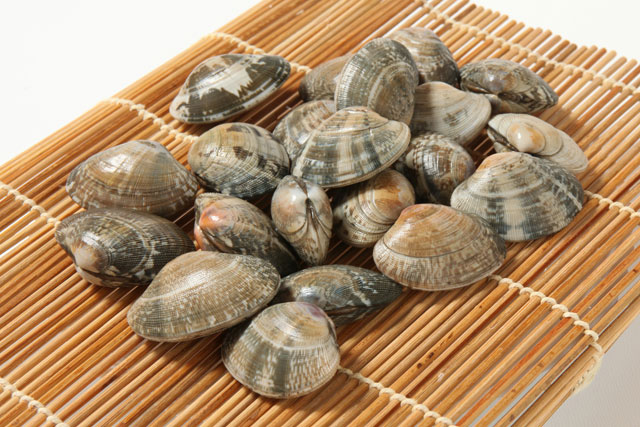 砂抜きしたあさり