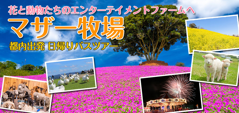 マザー牧場特集