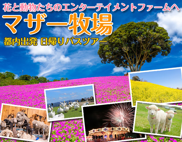 マザー牧場特集