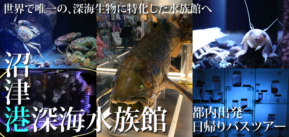 沼津港深海水族館バスツアー
