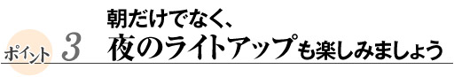 朝だけでなく、夜のライトアップも楽しみましょう