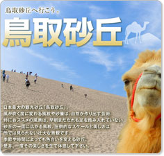 鳥取砂丘ツアー特集