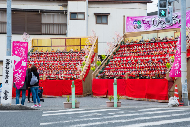 新宿発】かつうらビッグひな祭り＆南房総ランチバイキング！ 絢爛