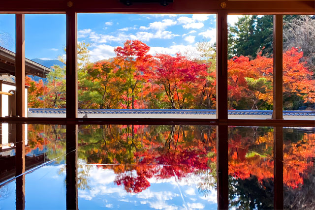 宝徳寺「床もみじ」