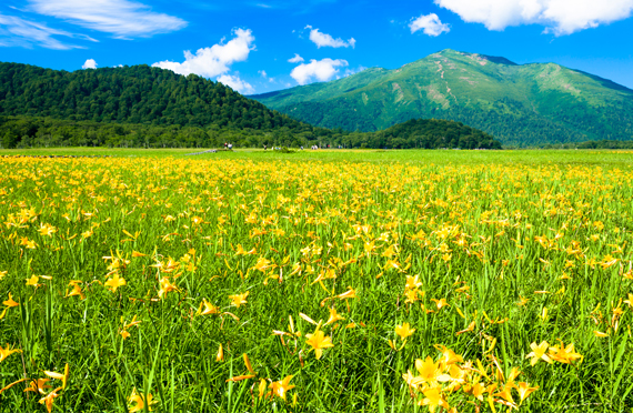 尾瀬（大清水）