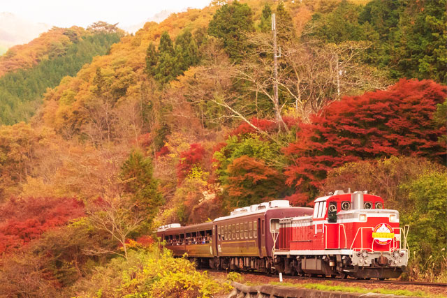 「わたらせ渓谷鐡道」トロッコ列車