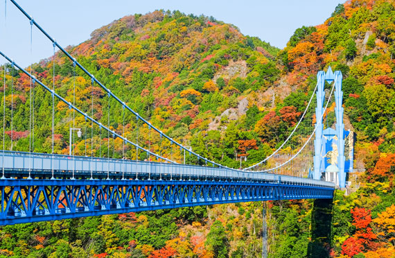 東京発 絶景ダブル紅葉巡り 袋田の滝 竜神大吊橋で紅葉観賞 旬のこだわり 奥久慈りんご 狩り 名物アップルパイのお土産付 秋の茨城満喫日帰りバスツアー ツアー詳細 クラブゲッツ