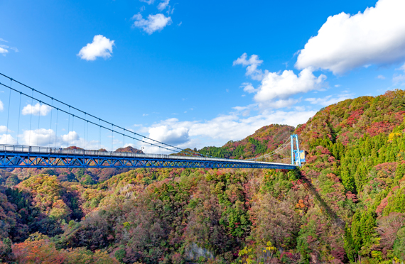 東京発】袋田の滝、竜神大吊橋、月待の滝 3つの秋の風景をめぐる旅