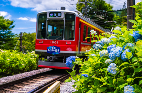 箱根登山電車