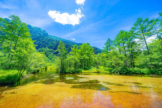 田代池