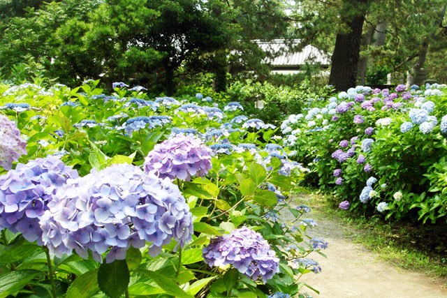 沼津御用邸記念公園