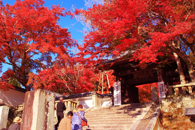 修善寺