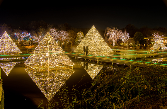 あしかがフラワーパーク