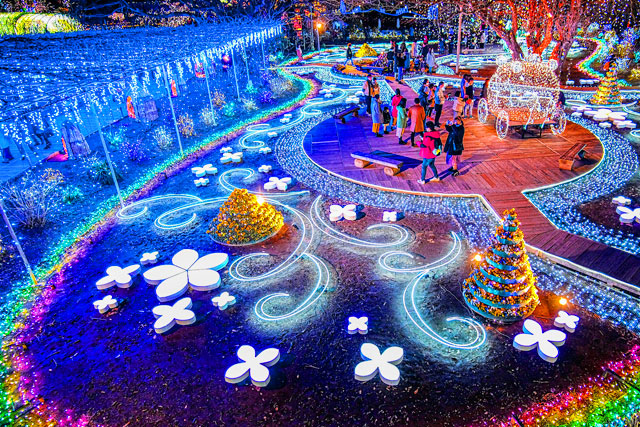 あしかがフラワーパーク