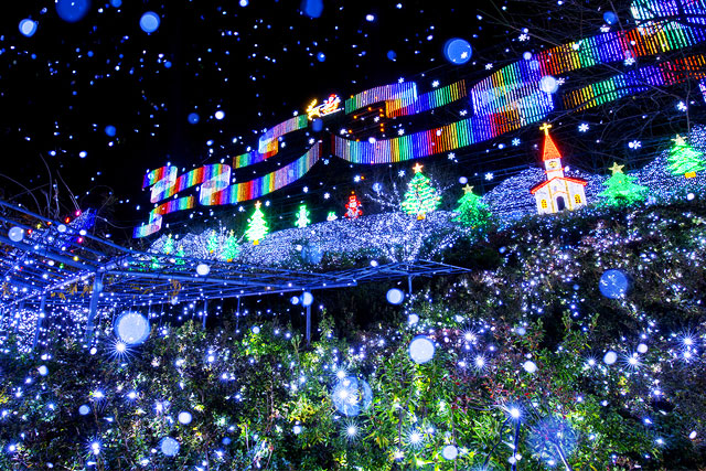 新宿発】初物「いちご狩り」栃木ブランド品種が30分食べ放題