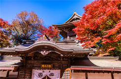 高尾山