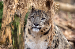 多摩動物公園