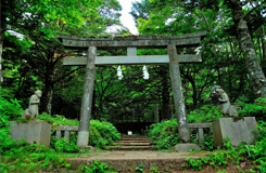 馬返し