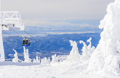 蔵王のスノーモンスター・樹氷