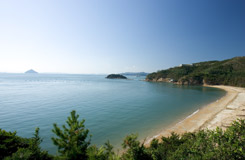直島/小豆島