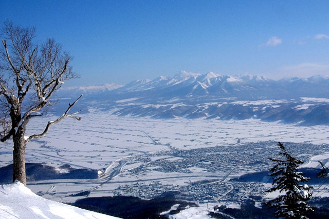 富良野スキー場