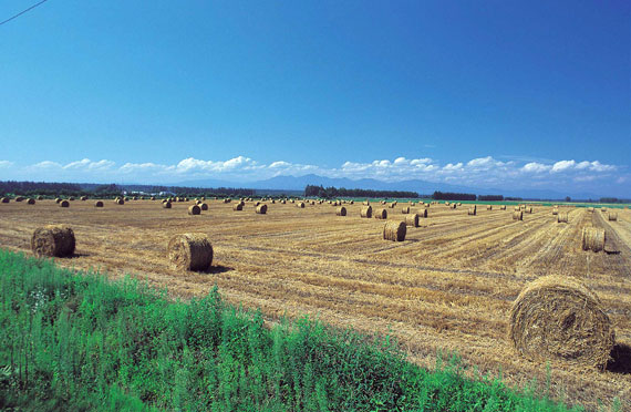 北海道ツアーオプションの注意事項