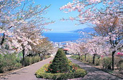 手宮公園
