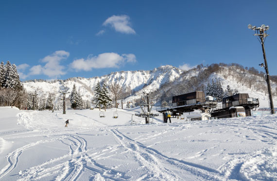 Mt.Naeba/苗場･かぐらフリーチョイスプラン・往復バス利用