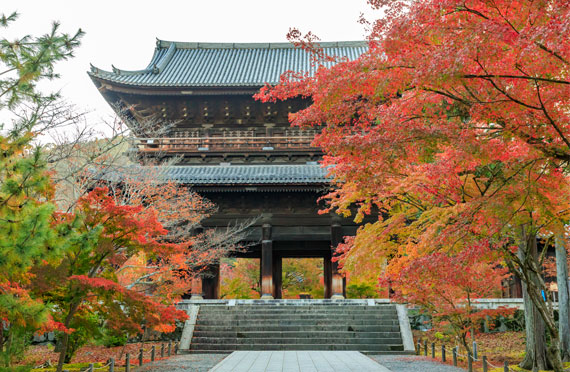 新千歳発 北海道新聞掲載プラン Jalで行く おおきに京都フリータイム ホテル日航プリンセス京都に泊まる2泊3日 ツアー詳細 クラブゲッツ