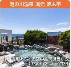 湯元 啄木亭