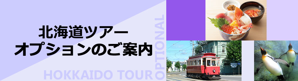 北海道ツアーオプションのご案内