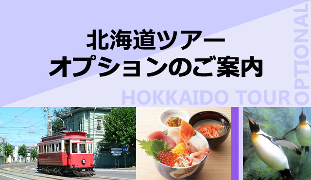 北海道ツアーオプションのご案内