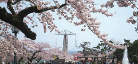 函館公園