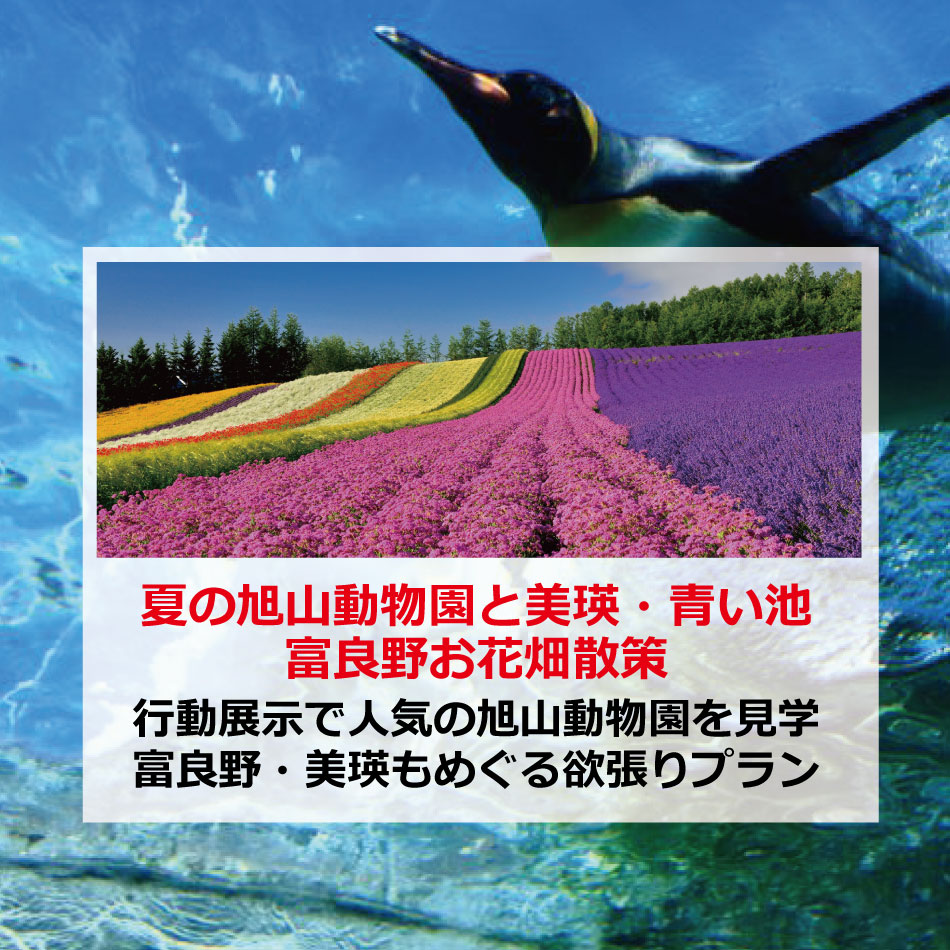 夏の旭山