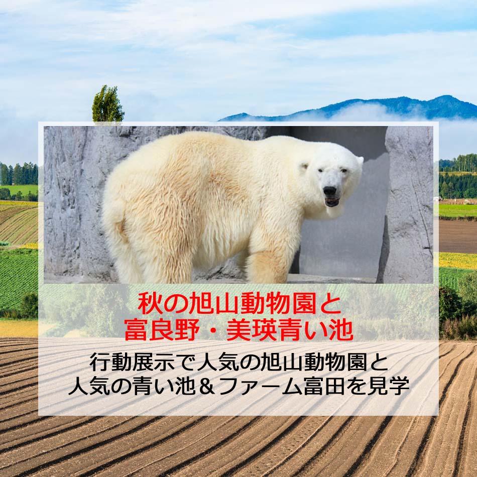 秋旭山
