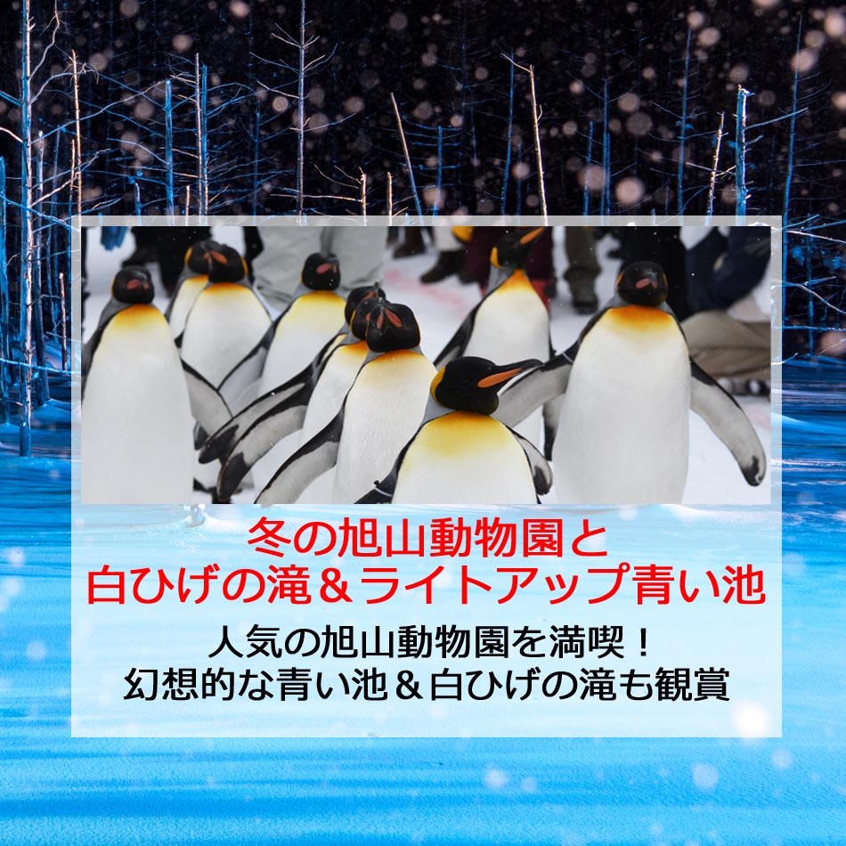 冬の旭山