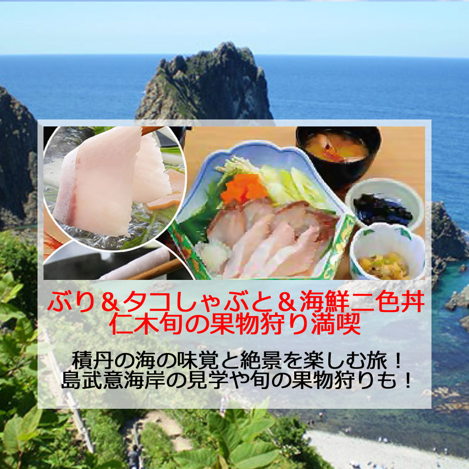 積丹9月