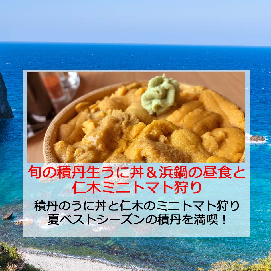 積丹8月