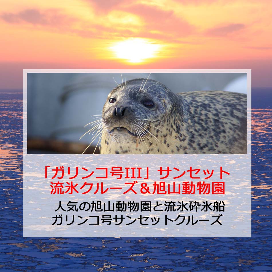 ガリンコサンセット