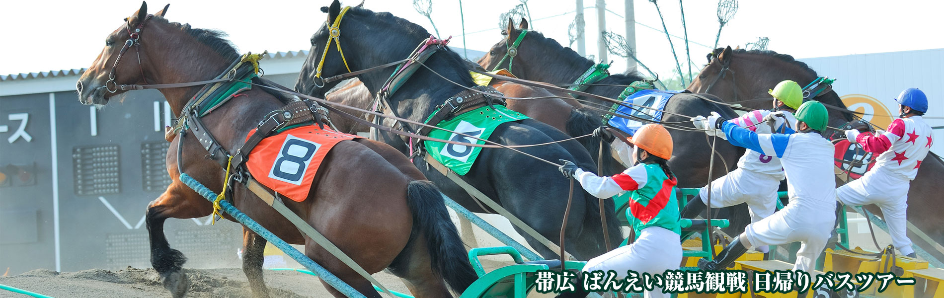 帯広・ばんえい競馬観戦 日帰りバスツアー