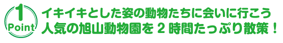 旭川らーめん村