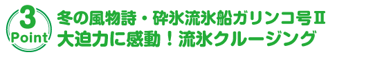 大迫力に感動！流氷クルージング