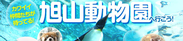 全国各地発・旭山動物園ツアー特集”